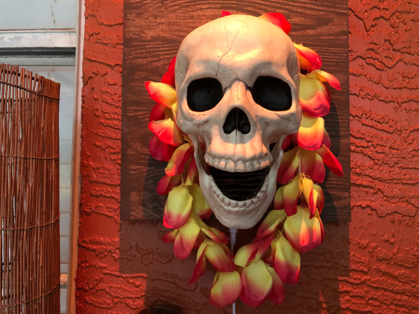 Talking Skull Wall Decor: Customizable Prop