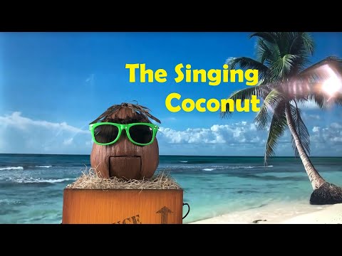 Singing Coconut